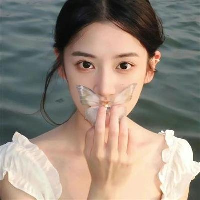 绿蝴蝶